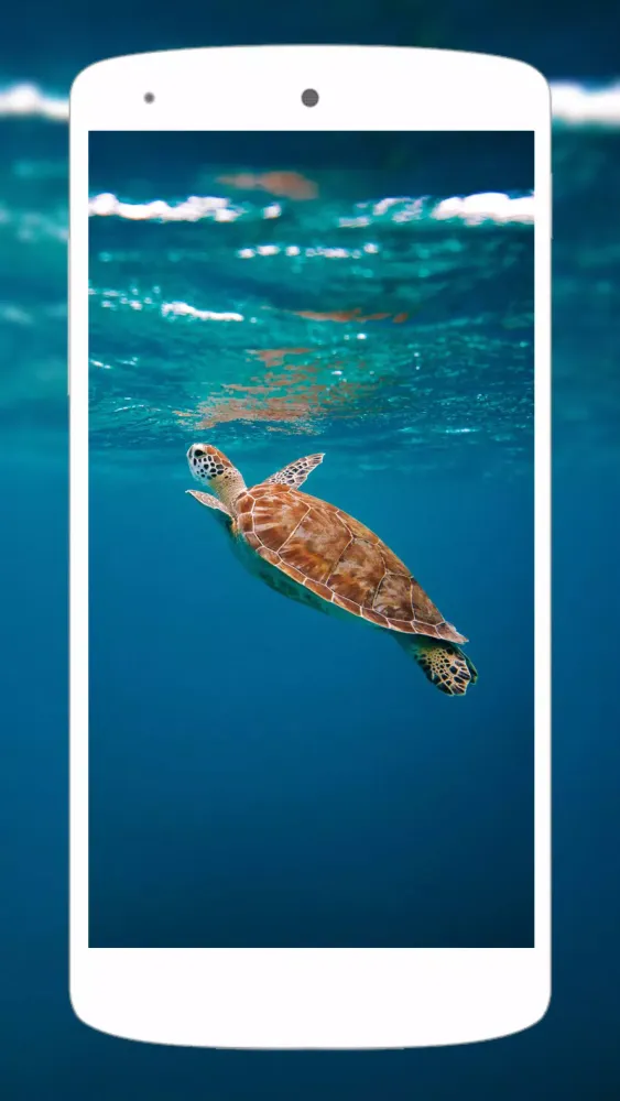 Cute Animal Wallpapers 4K Screenshots