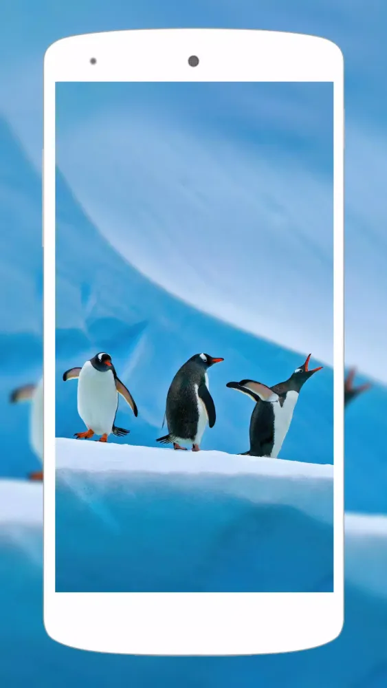 Cute Animal Wallpapers 4K Screenshots