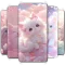Cute Cat Wallpaper