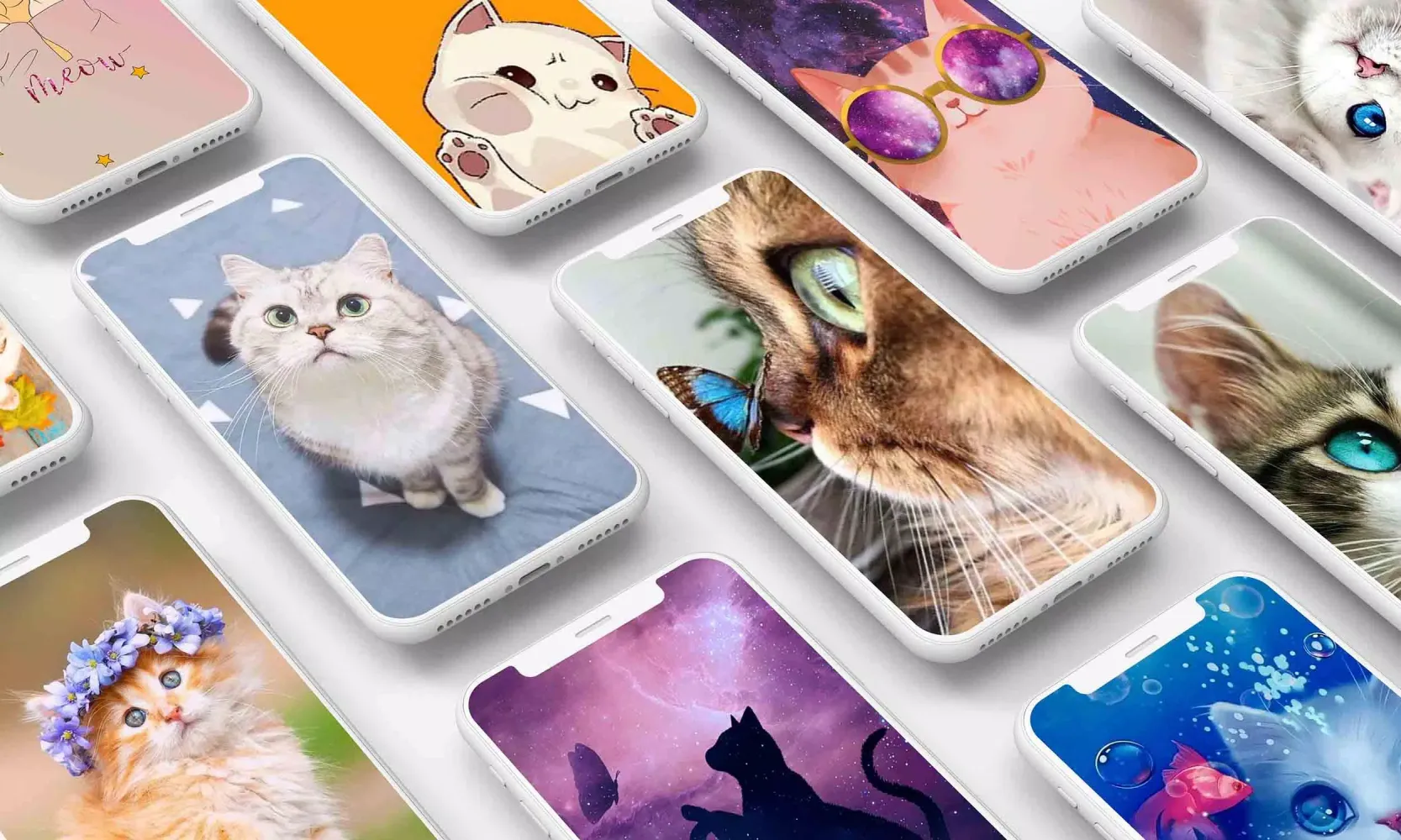 Cute Cat Wallpaper Screenshots