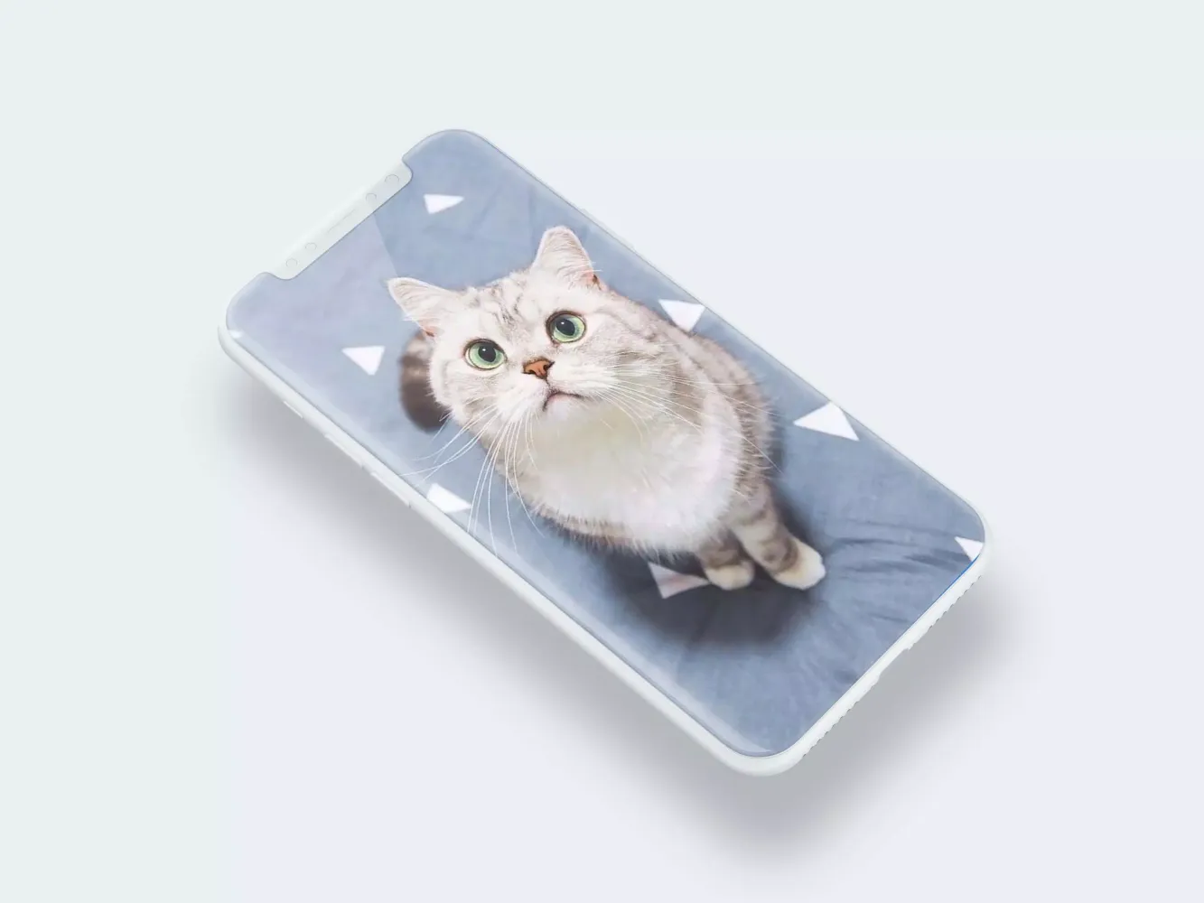 Cute Cat Wallpaper Screenshots