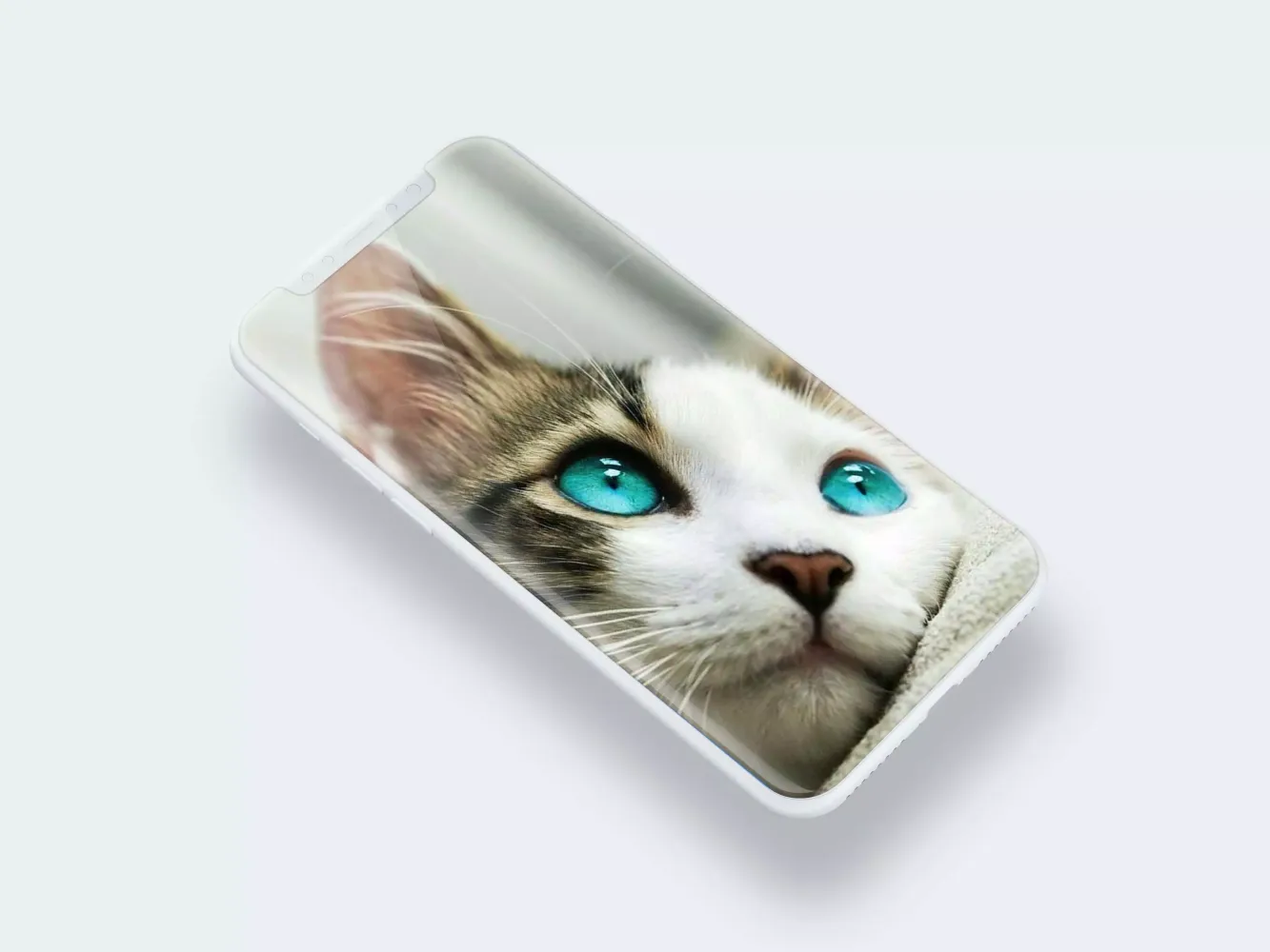 Cute Cat Wallpaper Screenshots