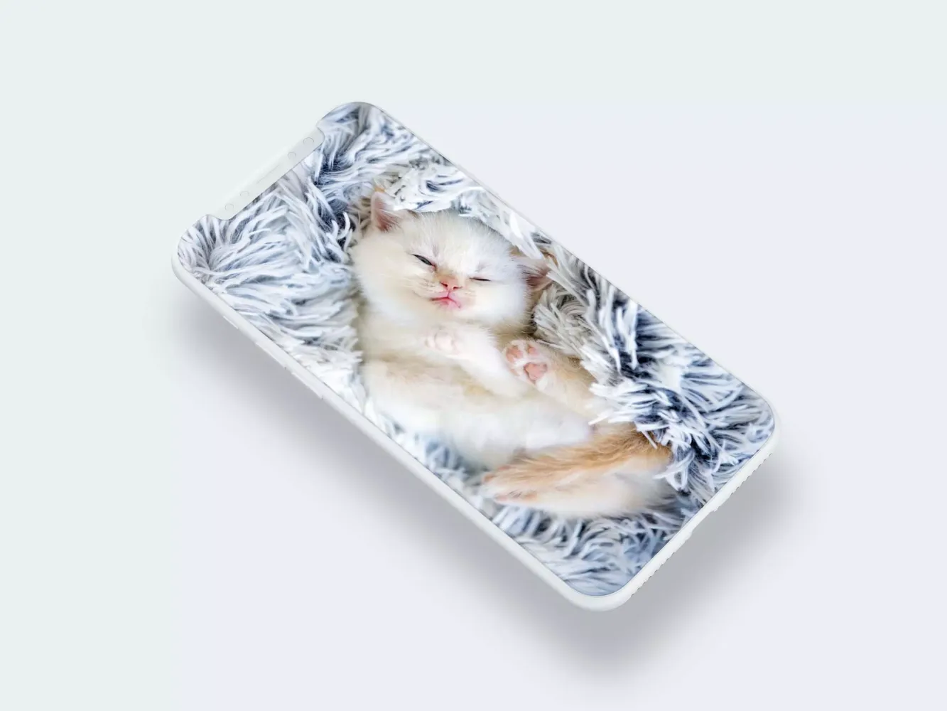 Cute Cat Wallpaper Screenshots