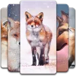 Fox Wallpaper