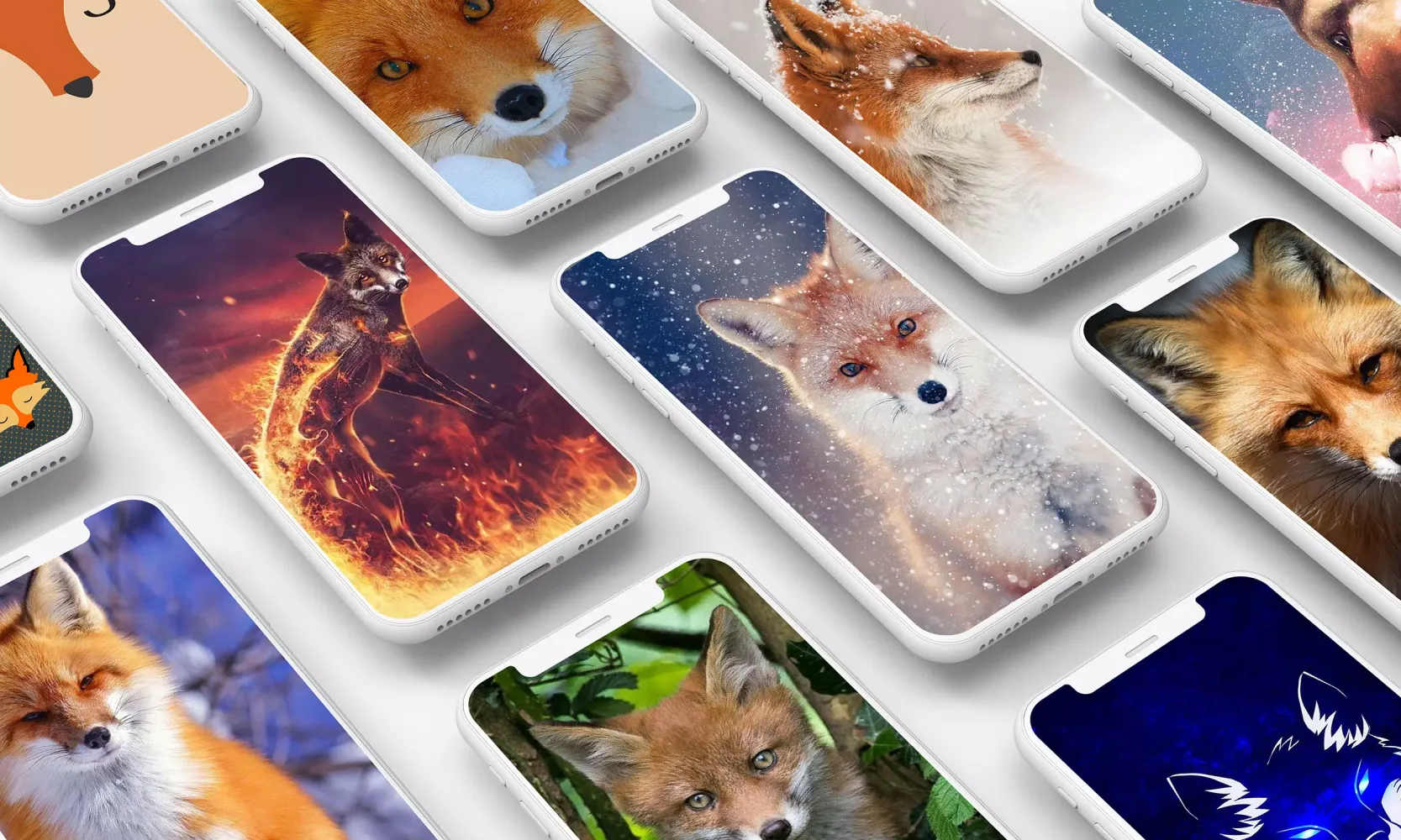 Fox Wallpaper Ekran Görüntüleri
