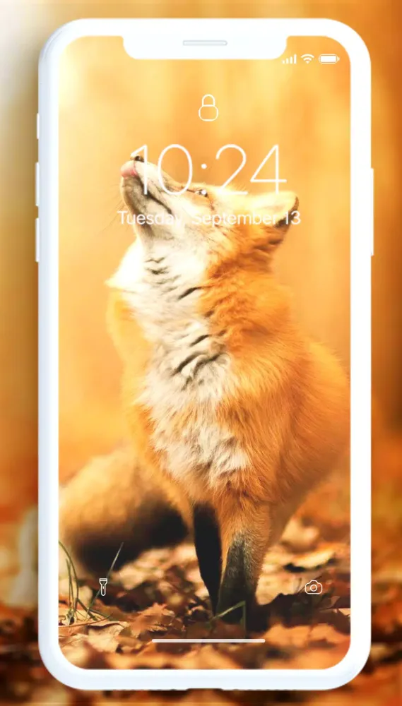 Fox Wallpaper Ekran Görüntüleri