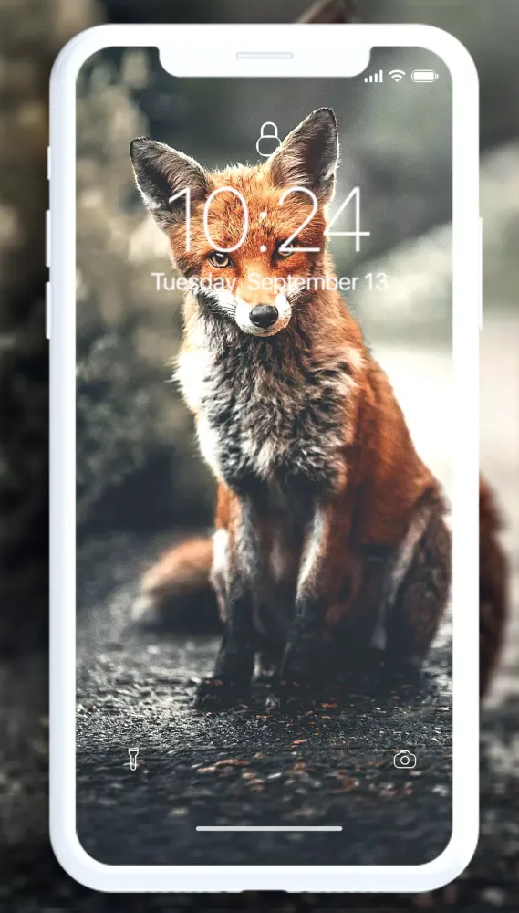Fox Wallpaper Ekran Görüntüleri