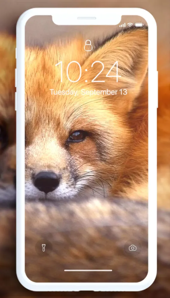 Fox Wallpaper Ekran Görüntüleri