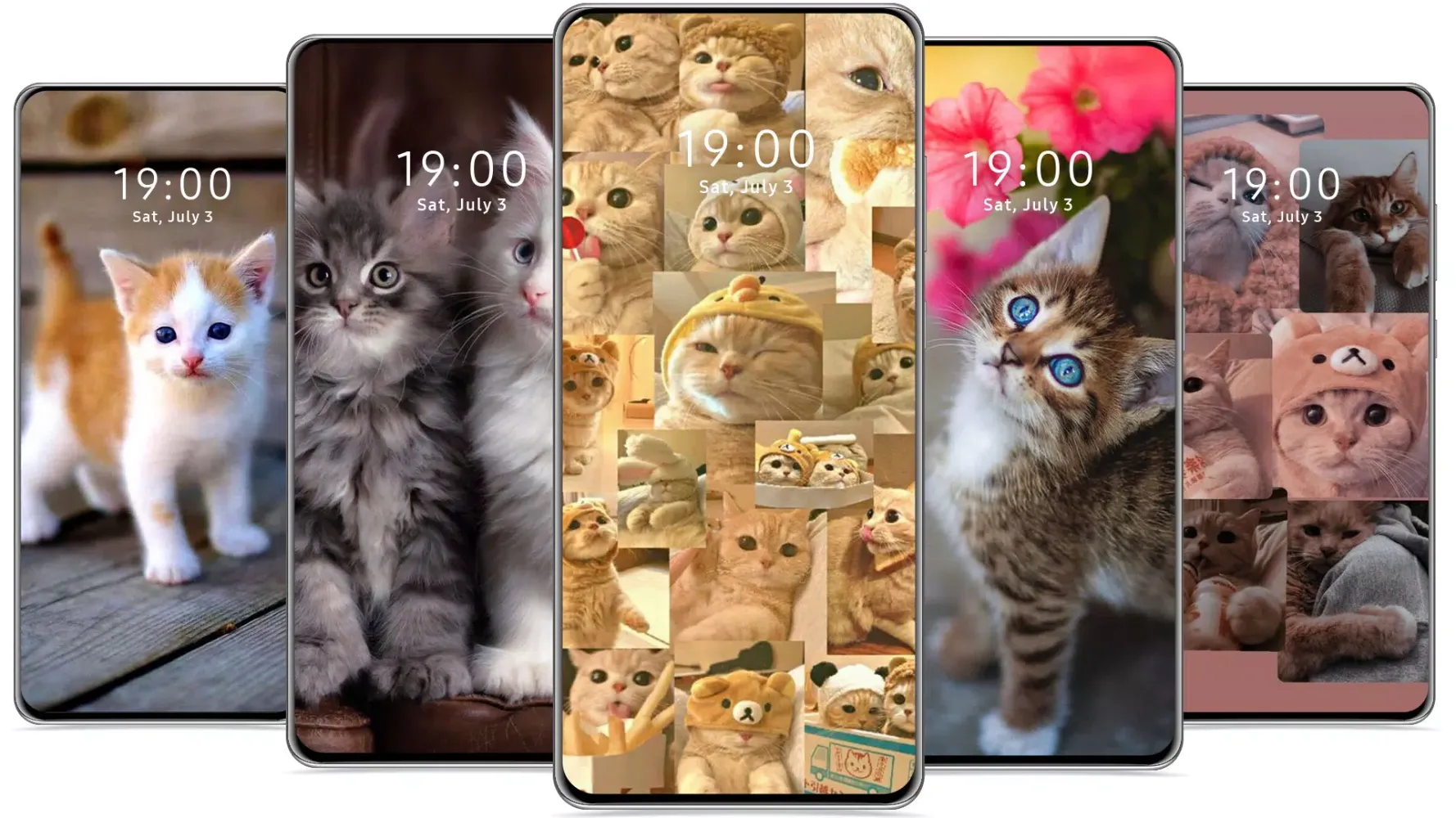 Captures d'écran de Cute Cat Wallpaper