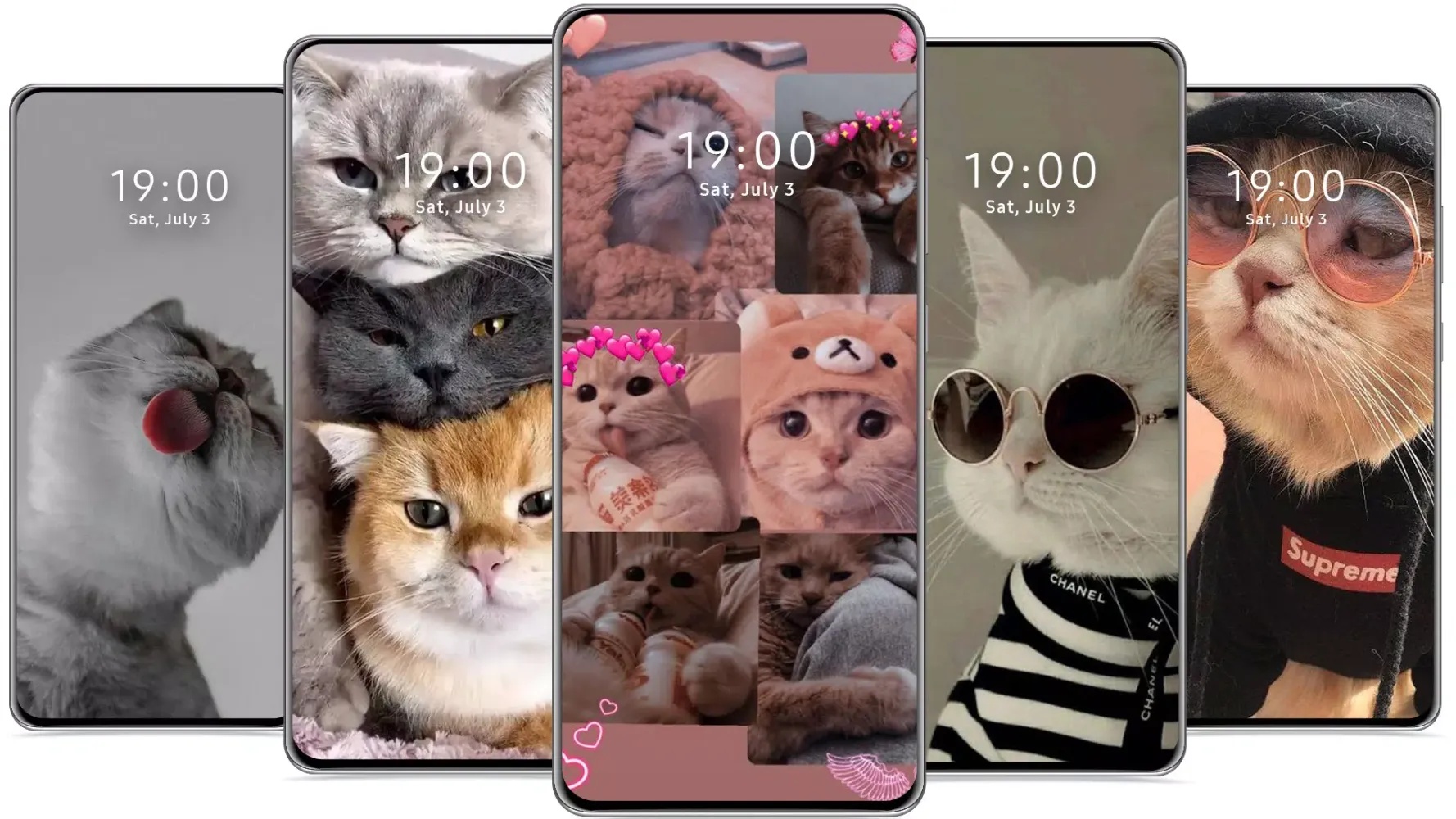 Captures d'écran de Cute Cat Wallpaper