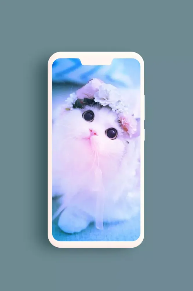 Cute Wallpapers سکرین شاٹس
