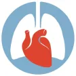 CTSNet Videos