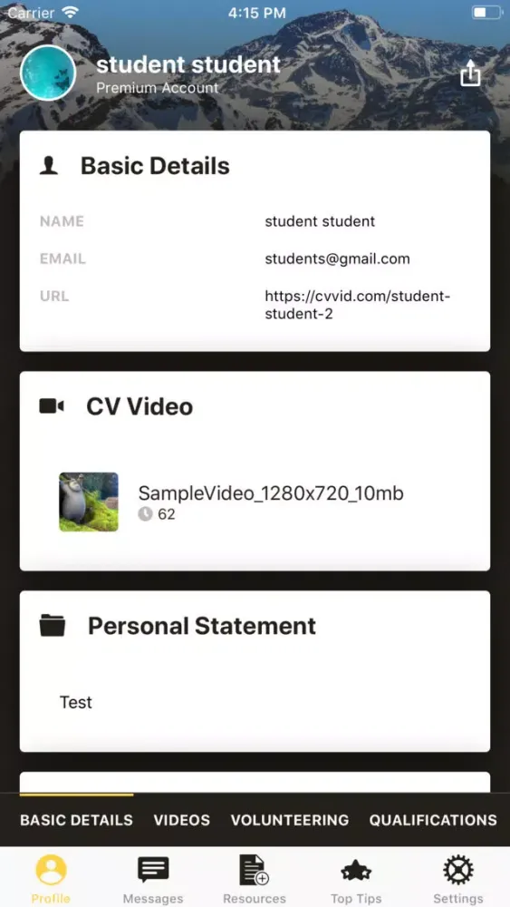 Скриншоты CVvid Careers