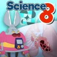 Respiratory System Grade 8 Respiratory System Grade 8