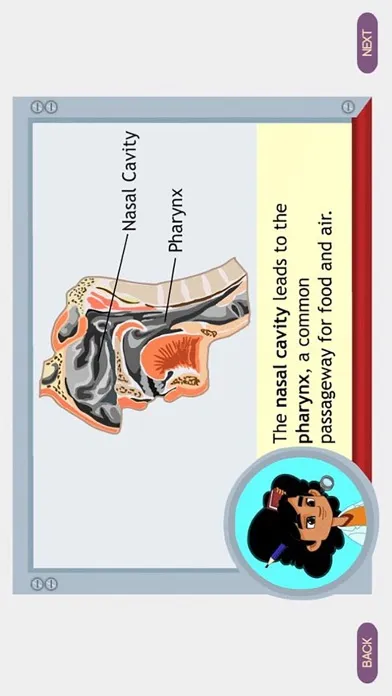 Respiratory System Grade 8 스크린샷