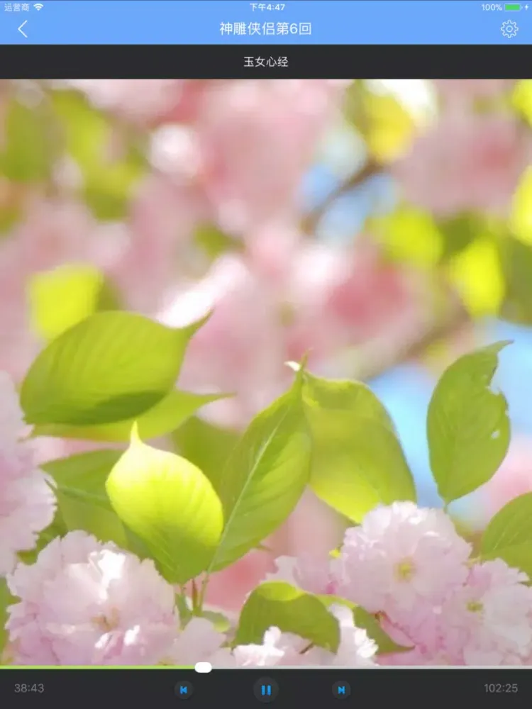Capturas de pantalla de 神雕侠侣有声小说全集 iPad 