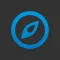 SEO Browser Pro