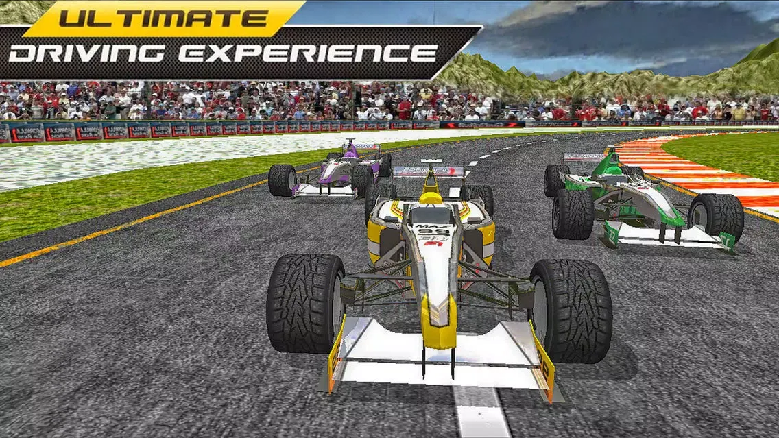 Formula Car Lifeless Tournament: Unleashed Race应用截图