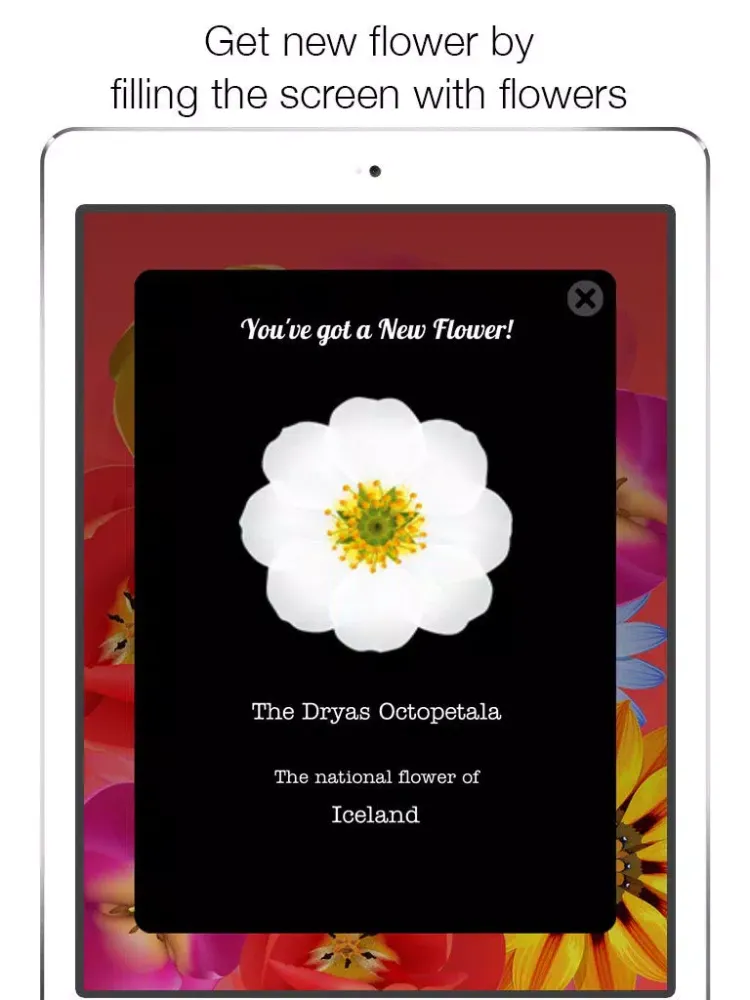 Ảnh chụp màn hình của Bloom Free - Let flowers bloom with a tap on the screen - iPad 