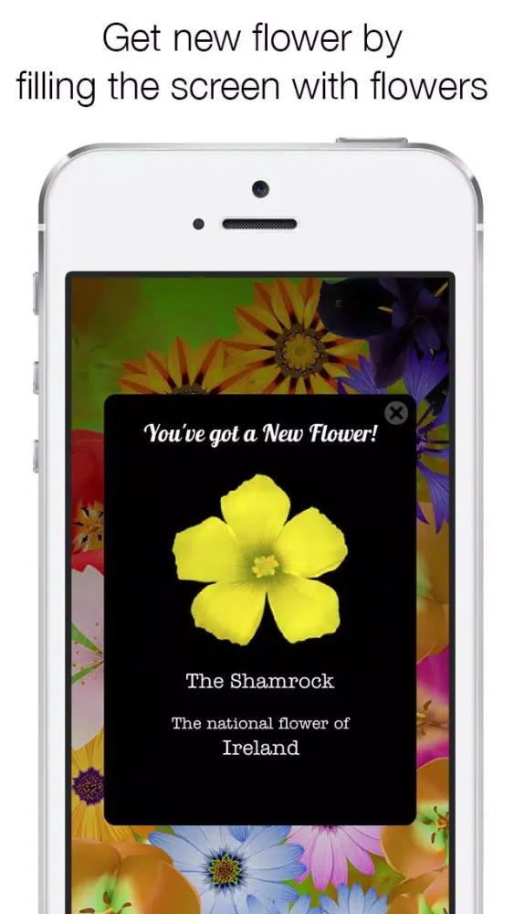Ảnh chụp màn hình của Bloom Free - Let flowers bloom with a tap on the screen -