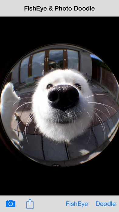 Captures d'écran de FishEye Camera & Photo Doodle