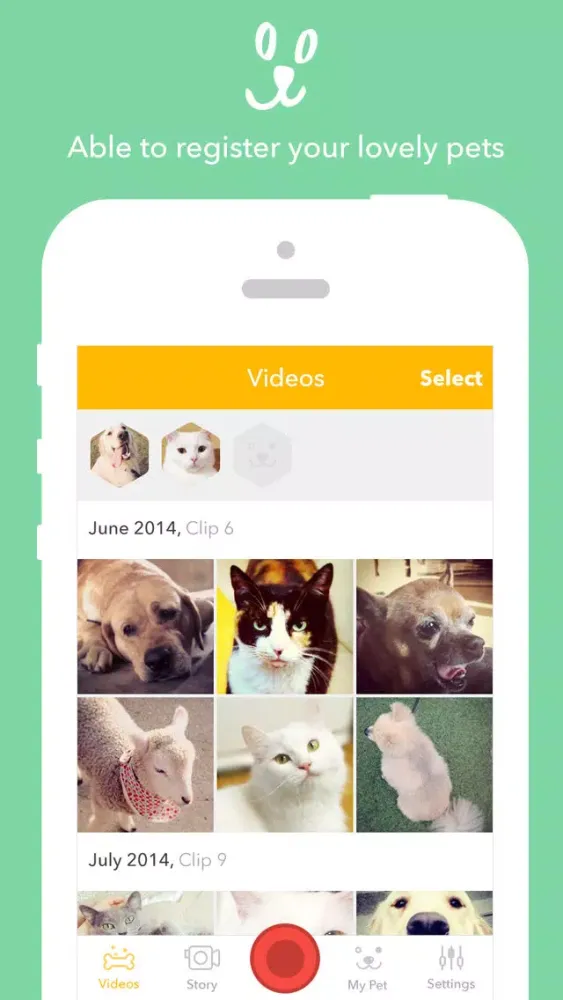 PetStory (Pet video recording) स्क्रीनशॉट