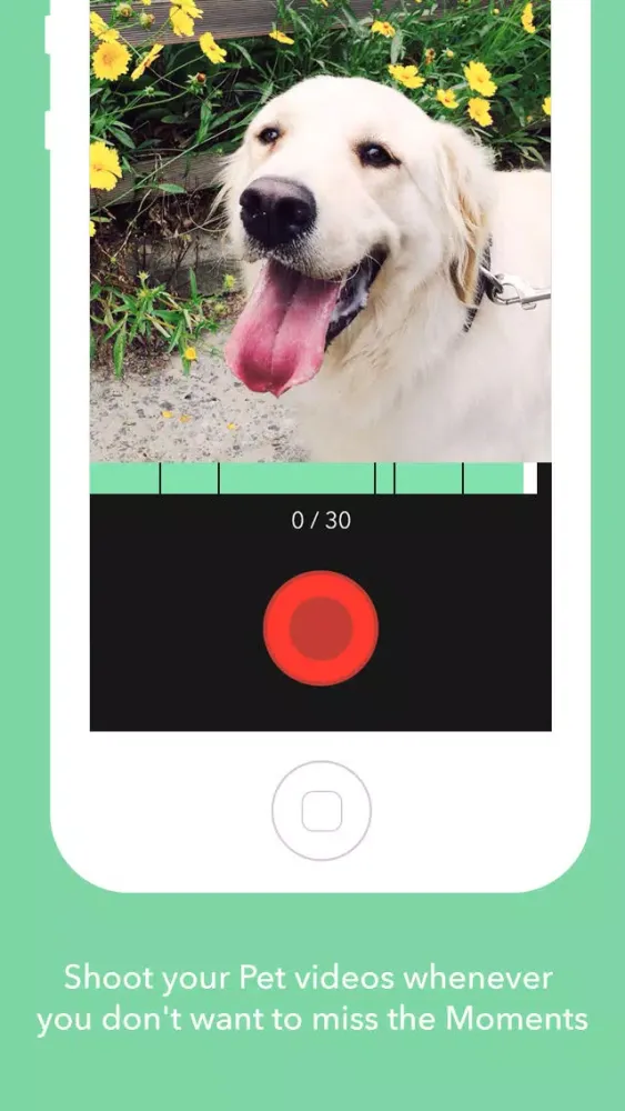 PetStory (Pet video recording) स्क्रीनशॉट