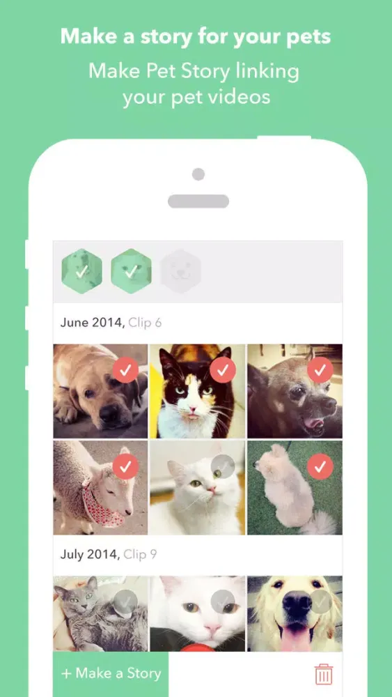 PetStory (Pet video recording) स्क्रीनशॉट