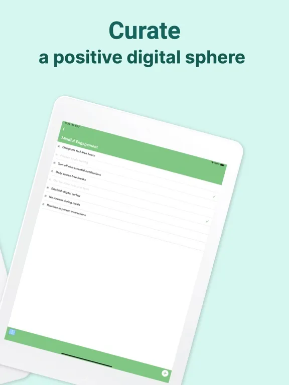 Скриншоты Digital Detox Checklist iPad 