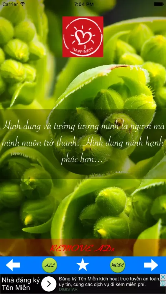 Sống Hạnh Phúc mỗi ngày Ekran Görüntüleri
