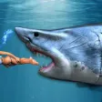 Whale Shark Attack Simulator Games