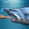 Whale Shark Attack Simulator Games