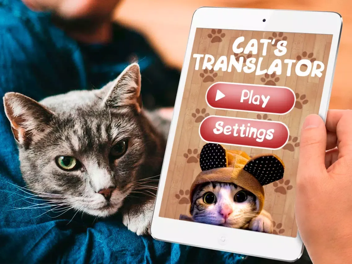 Cat Translator Simulator iPad  スクリーンショット