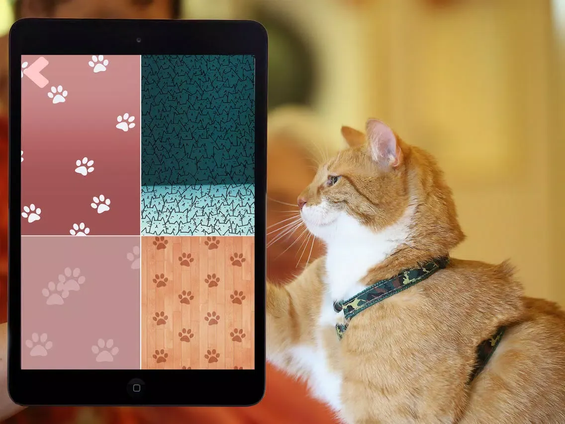 Cat Translator Simulator iPad  スクリーンショット