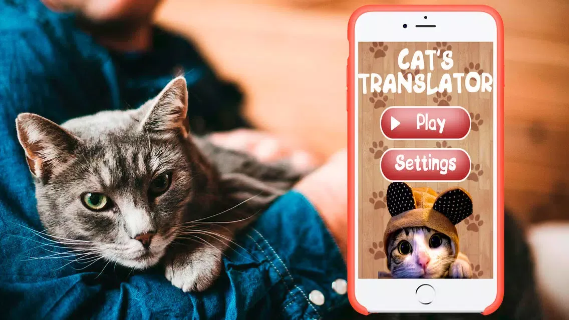 Cat Translator Simulator スクリーンショット