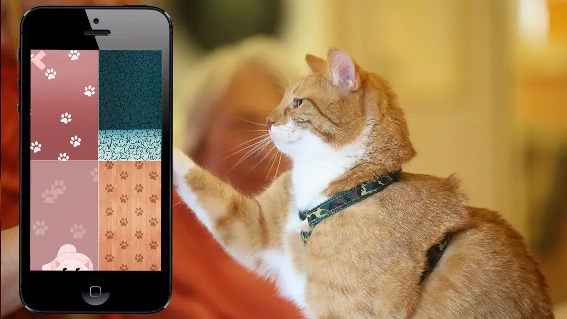 Cat Translator Simulator スクリーンショット