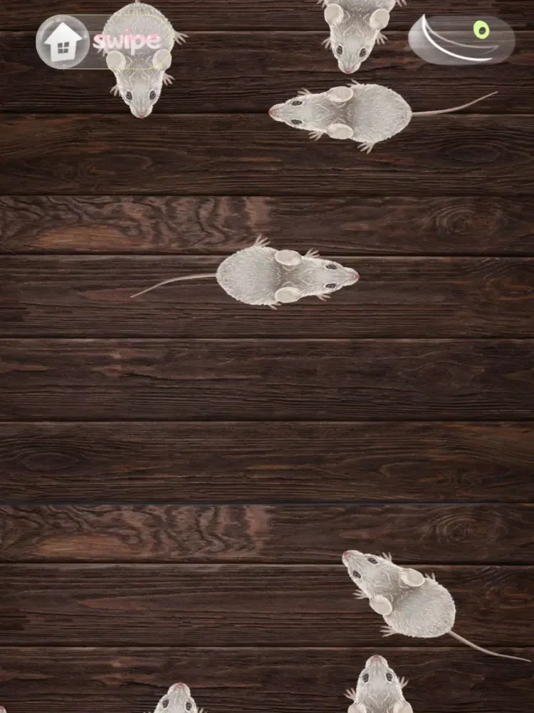 Tangkapan skrin Game for cat iPad 