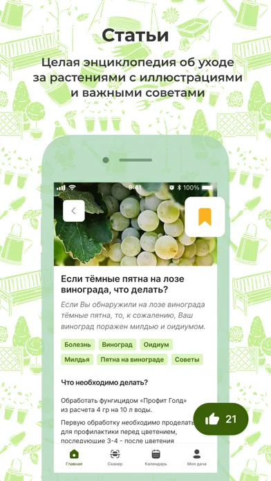 Дача без проблем سکرین شاٹس