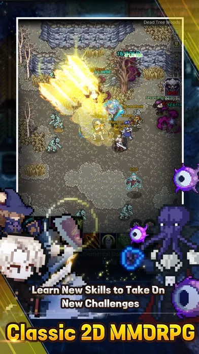 ELEMENTAL: 2D MMORPG 스크린샷