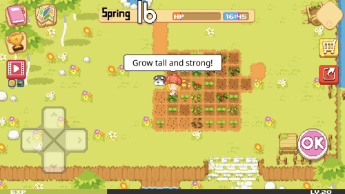 The Farm: Sassy Princess-screenshot-2