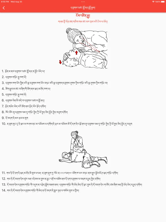 FirstAid in Tibetan Language iPad 应用截图