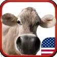 Genius Kid Photo - Educational quiz for kids Genius Kid Photo - Educational quiz for kids