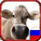Фото Маленького Гения - приложение для дошкольников