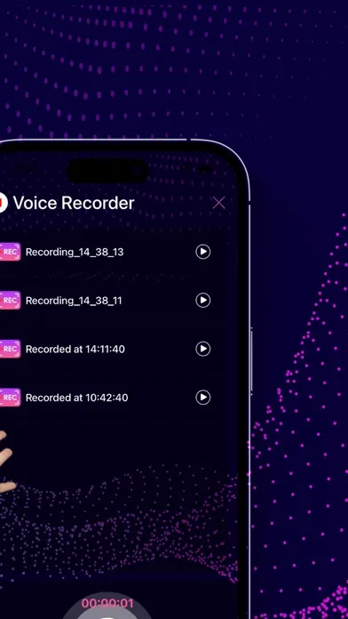 ภาพหน้าจอของ S1 S2 Smart Speaker Controller