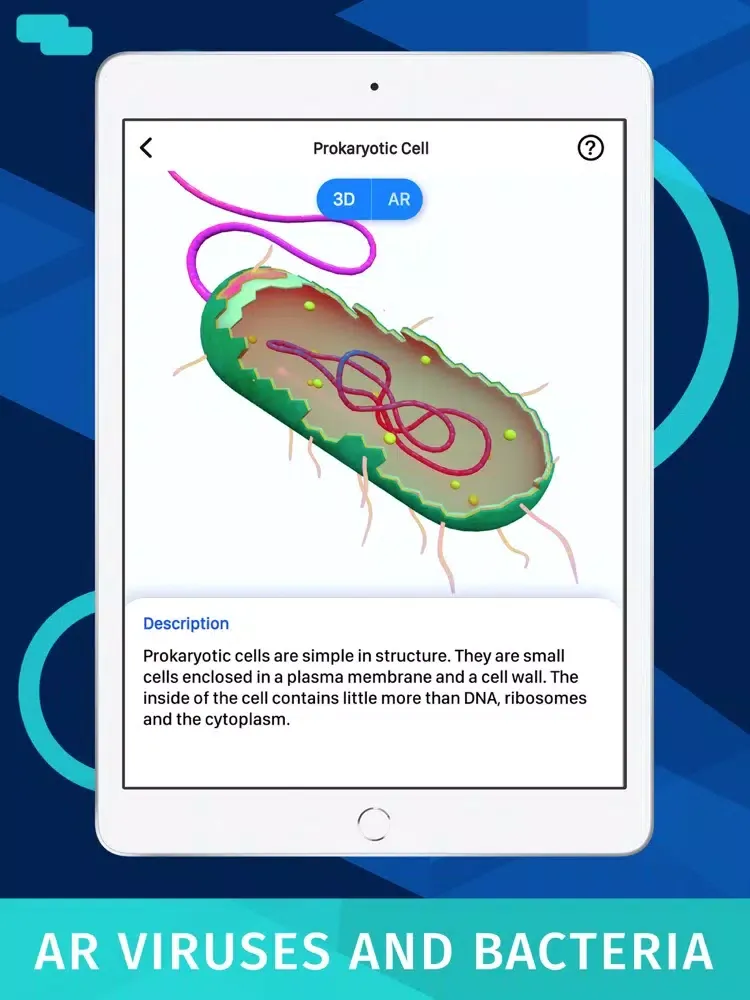 Capturas de pantalla de Bacteria AR: Zoom Cell Anatomy iPad 