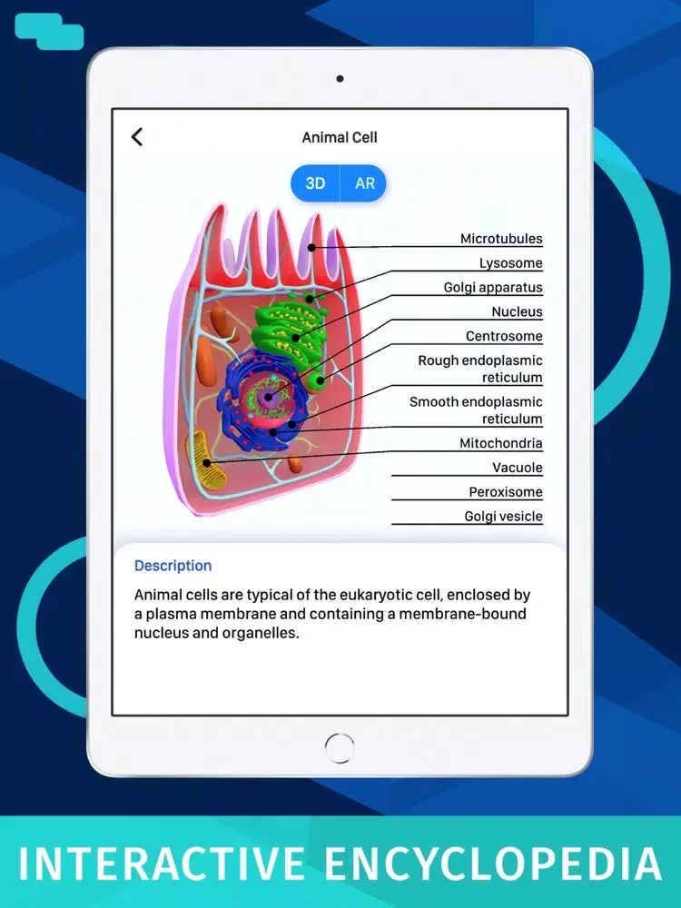 Capturas de pantalla de Bacteria AR: Zoom Cell Anatomy iPad 