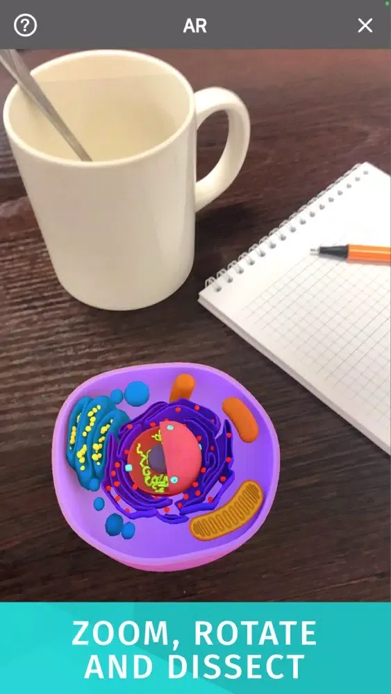 Capturas de pantalla de Bacteria AR: Zoom Cell Anatomy