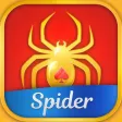 Daily Spider Solitaire Daily Spider Solitaire