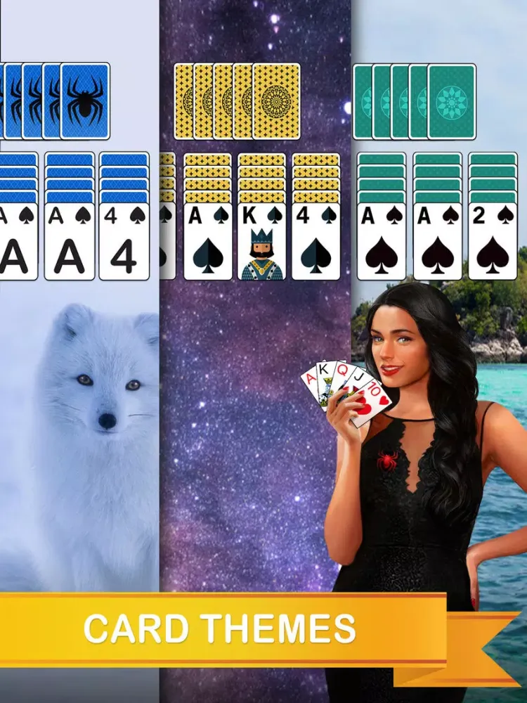 صور Daily Spider Solitaire iPad 