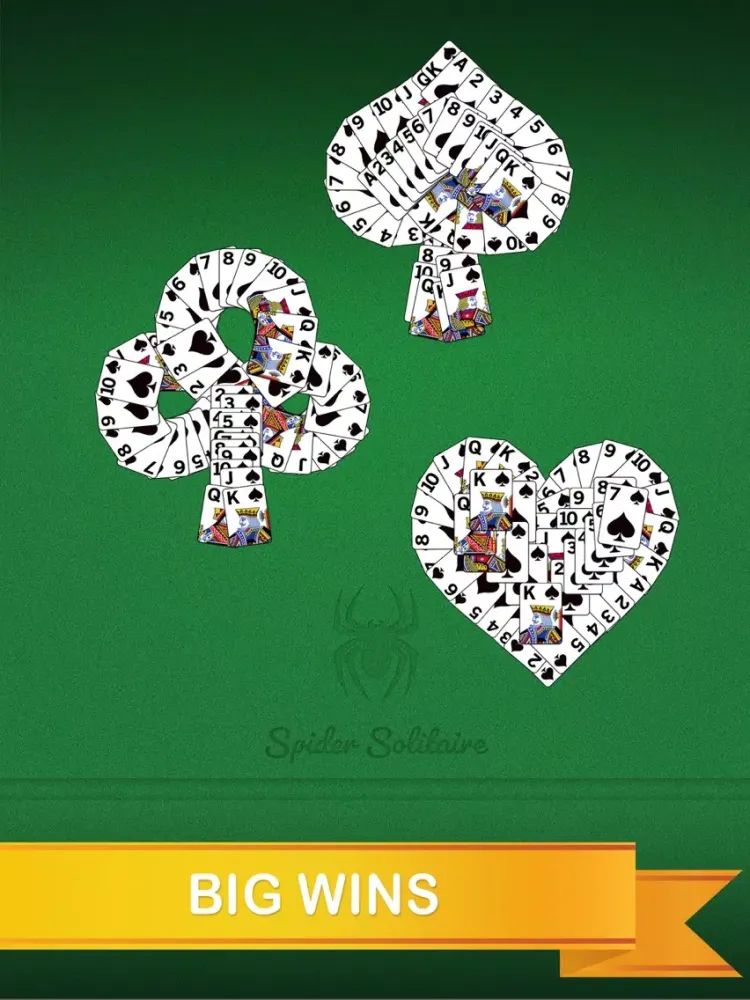 صور Daily Spider Solitaire iPad 
